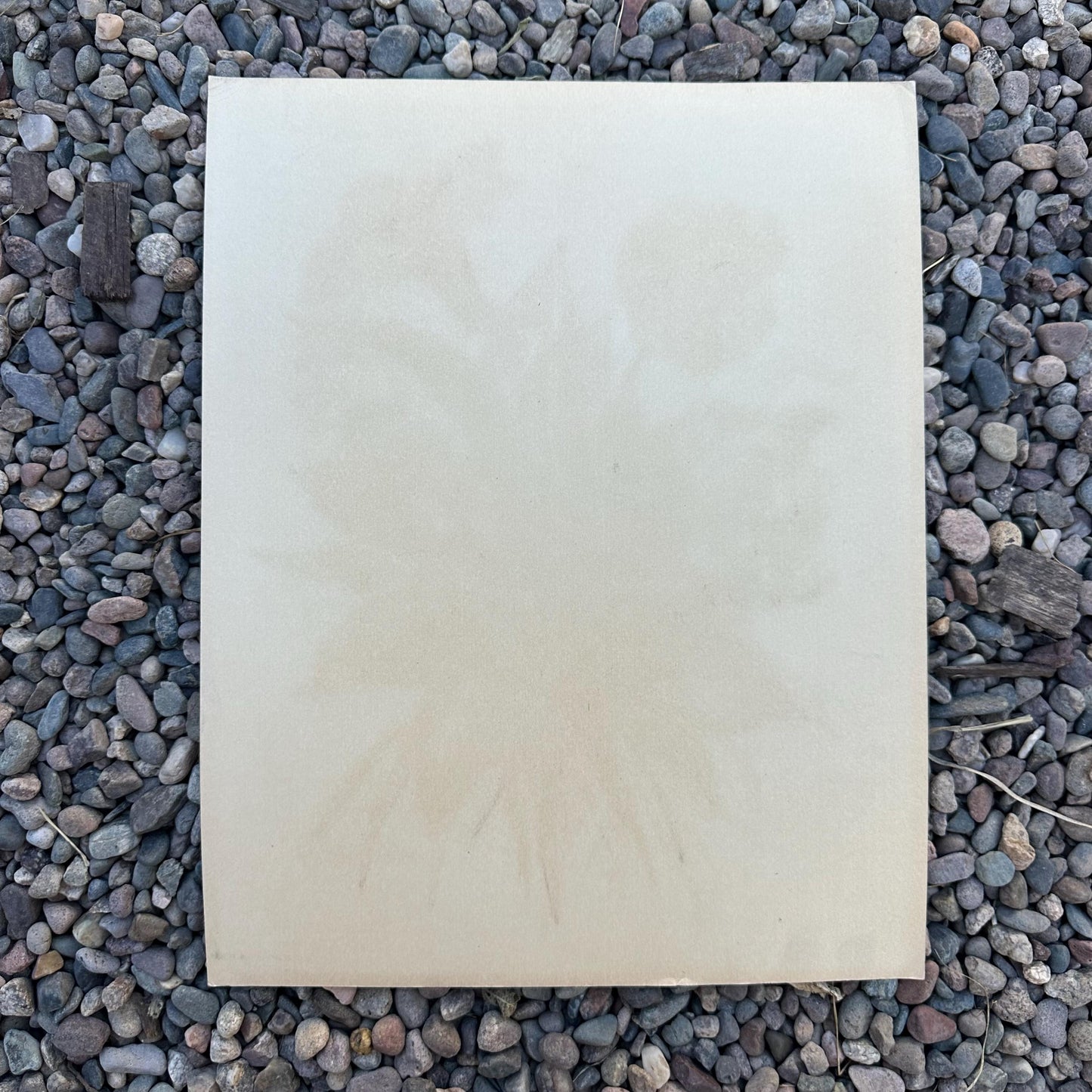 1940s Pink Large Floral Painting on Silk by Michelle