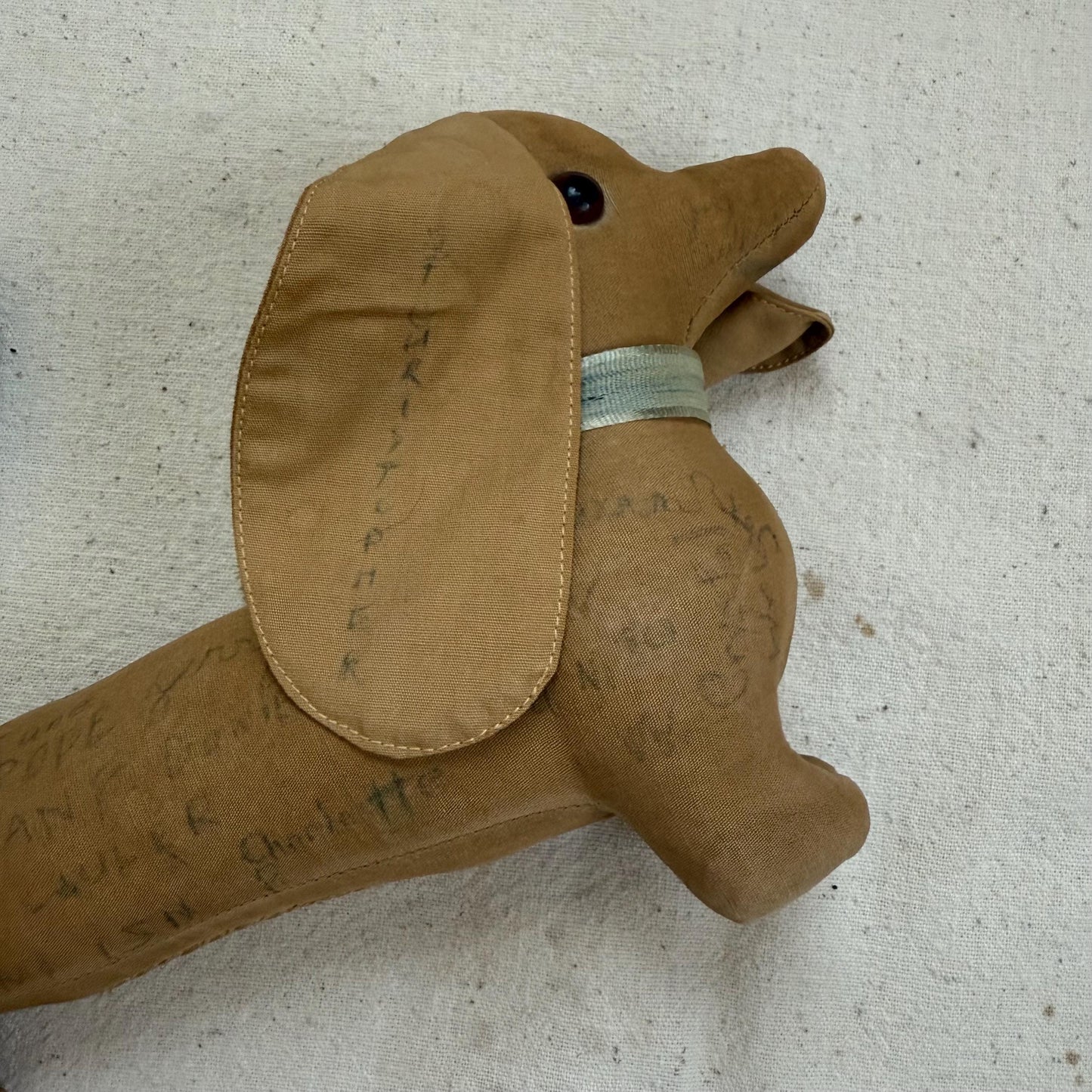 1950s Senior Signature Graduation Stuffed Dachshund Weiner Dog Plush