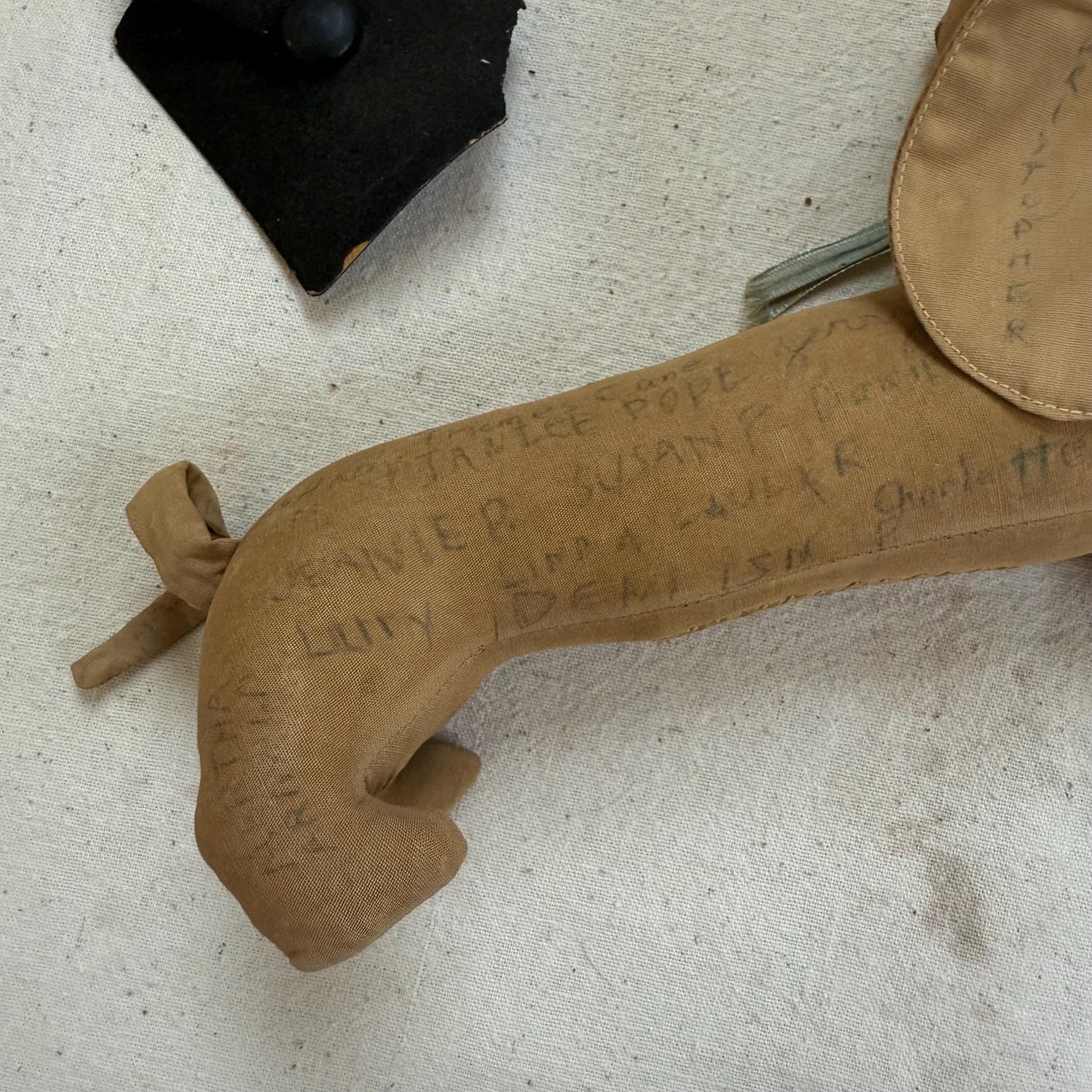 1950s Senior Signature Graduation Stuffed Dachshund Weiner Dog Plush