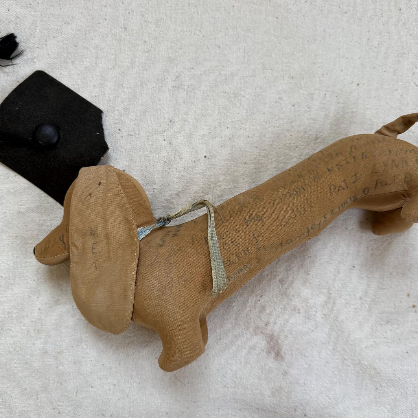 1950s Senior Signature Graduation Stuffed Dachshund Weiner Dog Plush