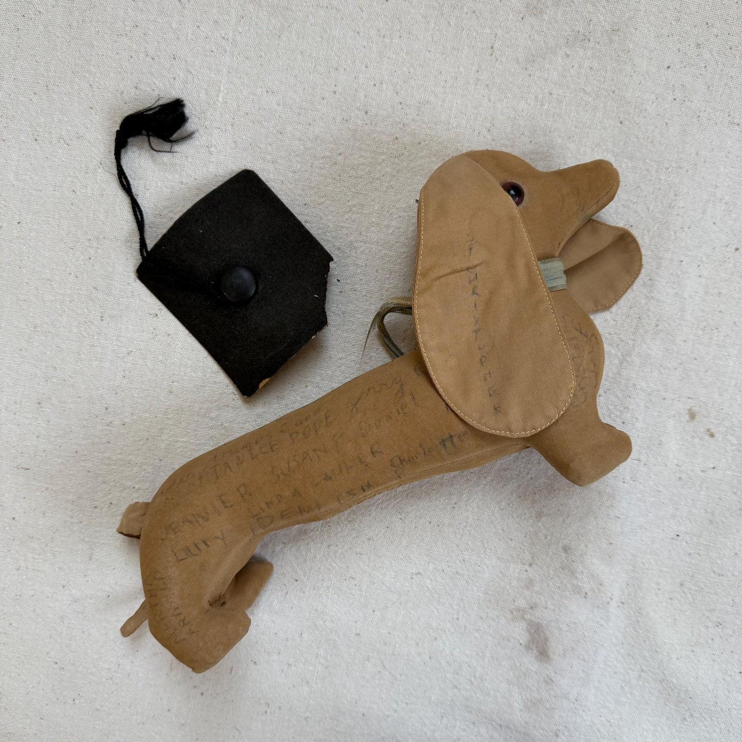 1950s Senior Signature Graduation Stuffed Dachshund Weiner Dog Plush